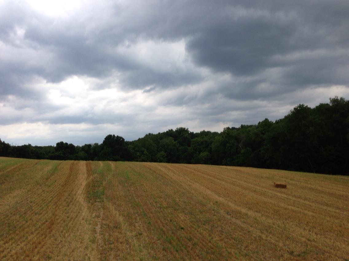 Pumpkin patch harford county md